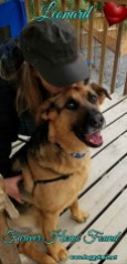 LEONARD ♥ (formerly Chase) Rescued Mar 2017 F♥rever Home found Apr 2018