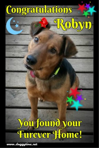 MISS ROBYN ♥ Rescued by Just Paws Graduated from our DCEC and Adopted Jan 2017